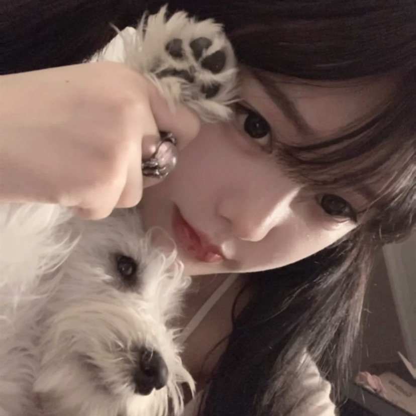 Muzze || Art & History Museum